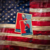 Vote Graham Platner for Senate Sticker