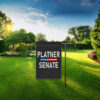 Platner Senate, Graham Platner 2026 Flag